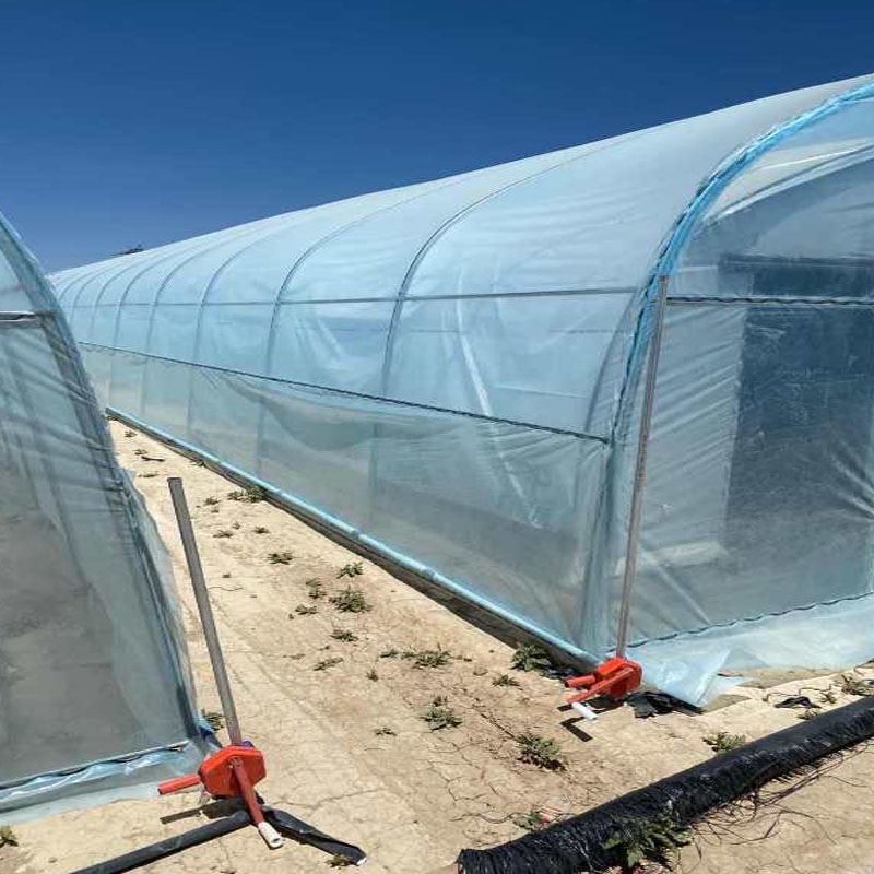 film greenhouse film greenhouse