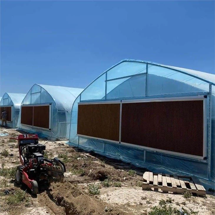 Double Layer Film Greenhouse For USA Market