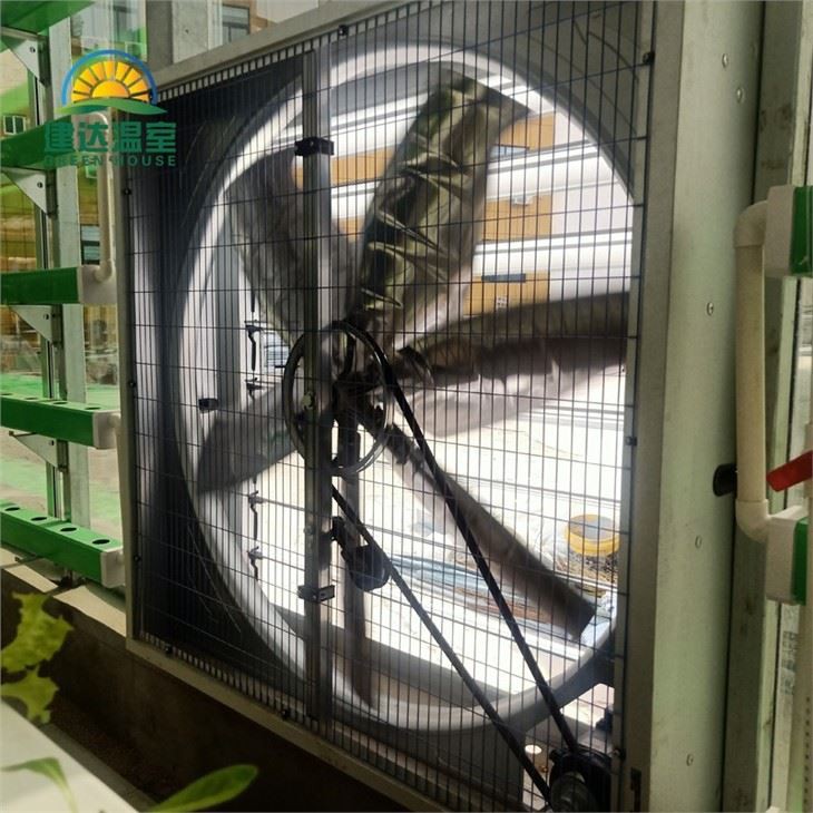 Greenhouse Cooling Fan