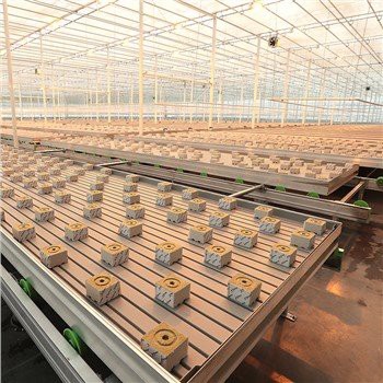 Sera Rockwool