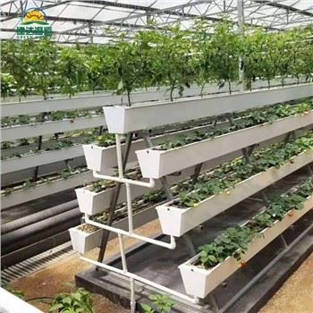 PVC Hydroponic Grown Groove Çilek