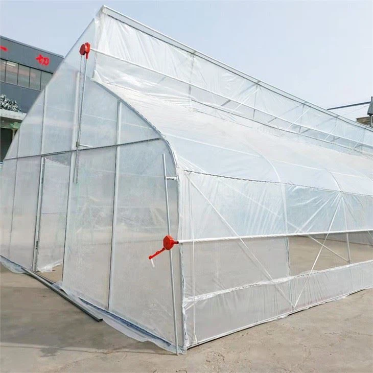 Sawtooth Greenhouse For Tropical Area With Roof Ventilation System