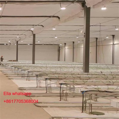 Topraksız Domates Yetiştiriciliği
