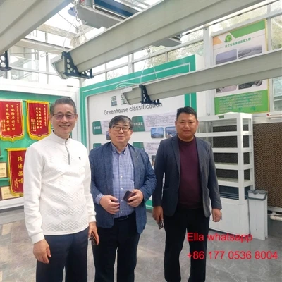 Müşteri Jianda Greenhouse'u ziyaret etmişti
