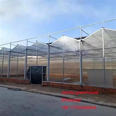 Agro sebze için PC Polikarbonat Sera