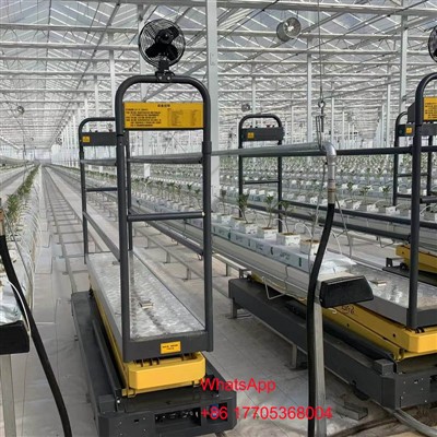 Ortak Sera Modelleri