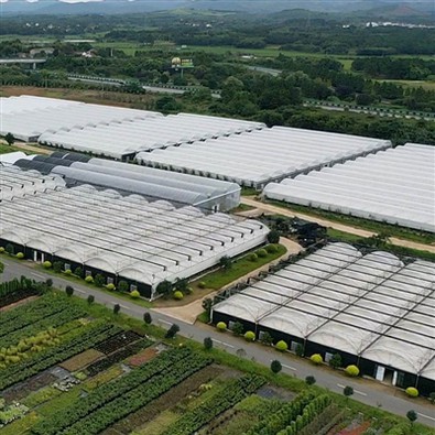 Jianda Multi - Span Film Serası