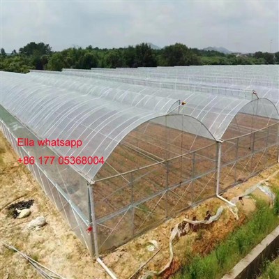 Jianda'nın Norveç'teki Yenilikçi Kemer Serası