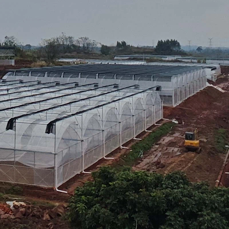 film greenhouse 4 film greenhouse 4