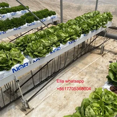 Domates Yeşilleri İçin Topraksız Ekim Oluğu